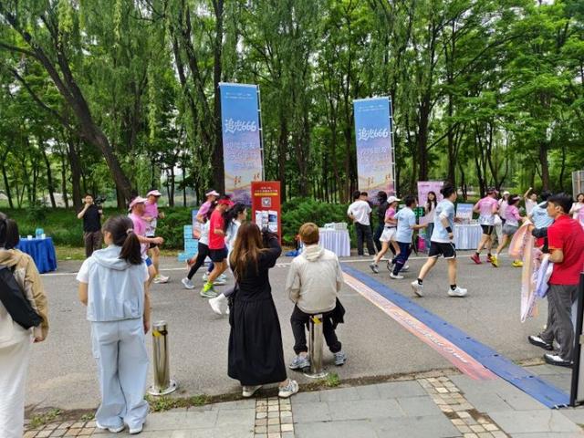 世界杯C组首轮积分榜：苏格兰居首，下轮巴西vs海地